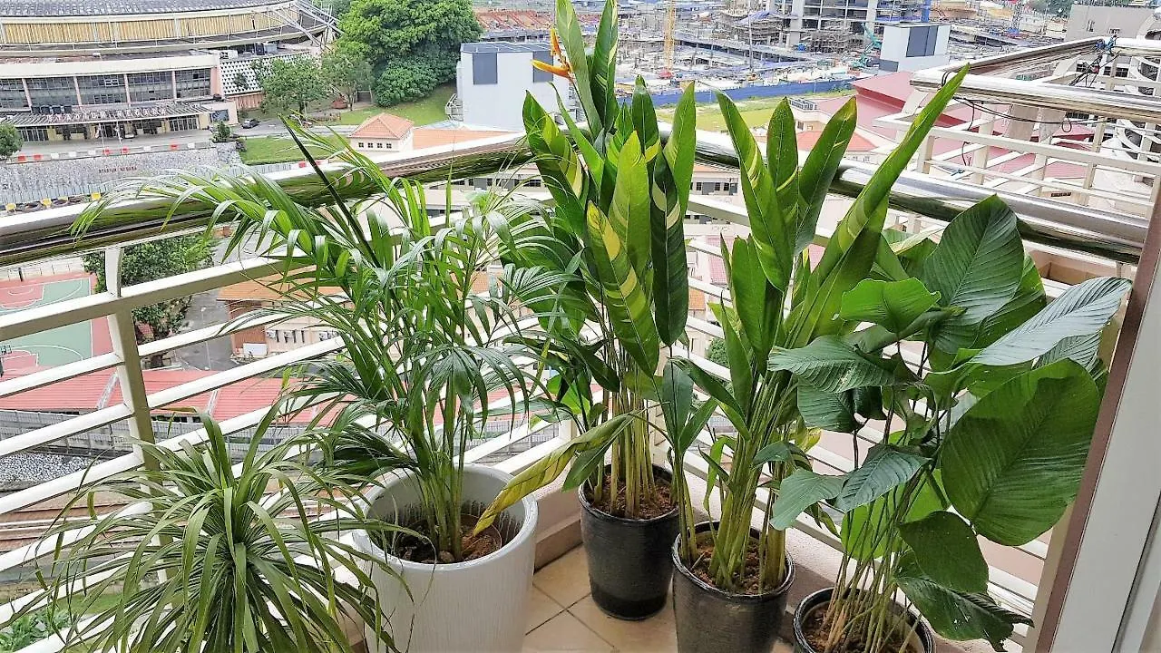 Balkoni Hijau At Casa Mutiara Kl Apartman Kuala Lumpur Malajzia